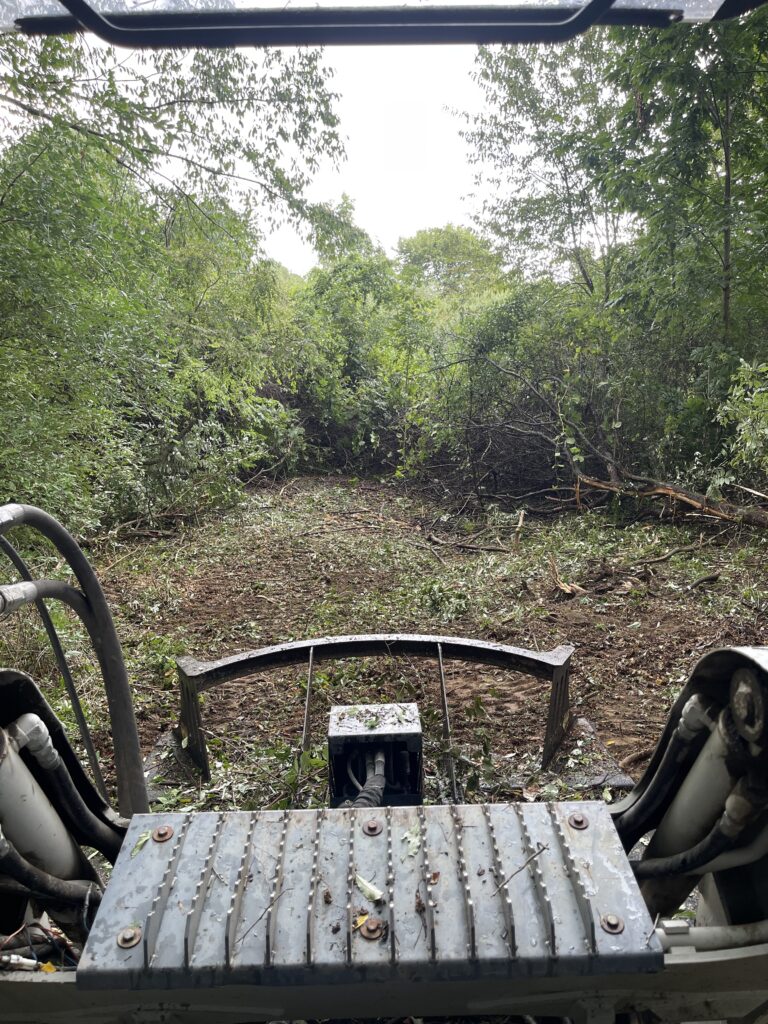 mulching, land clearing, brush cutting, brush clearing, mowing, forestry mulching, land clearing